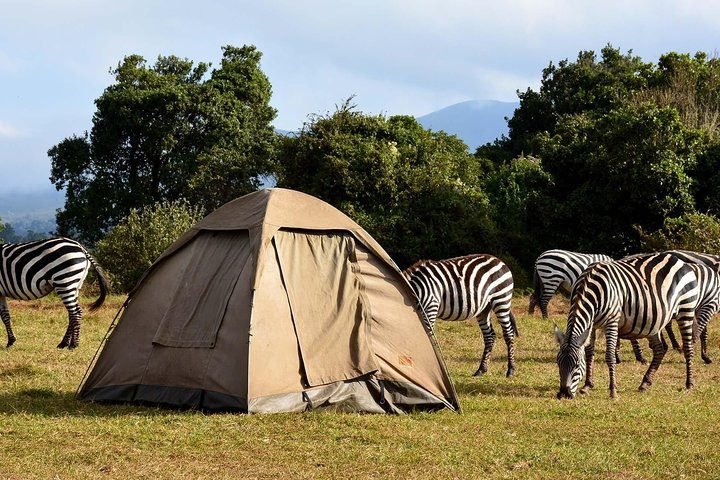 Camping