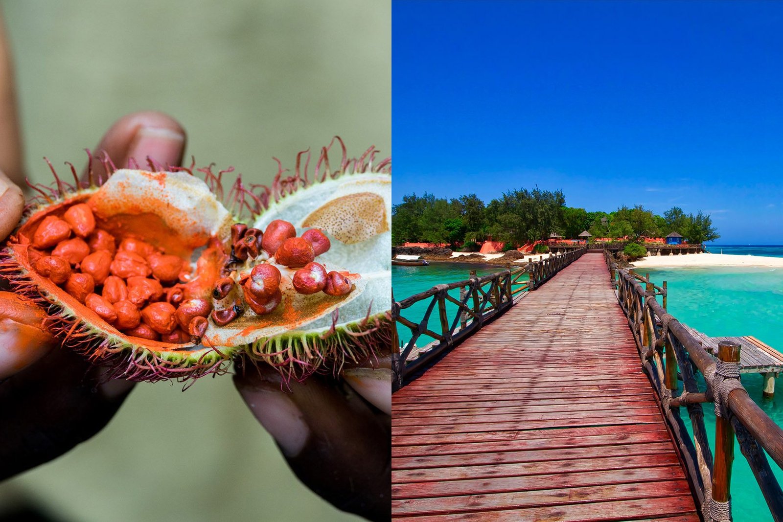 Zanzibari Adventure