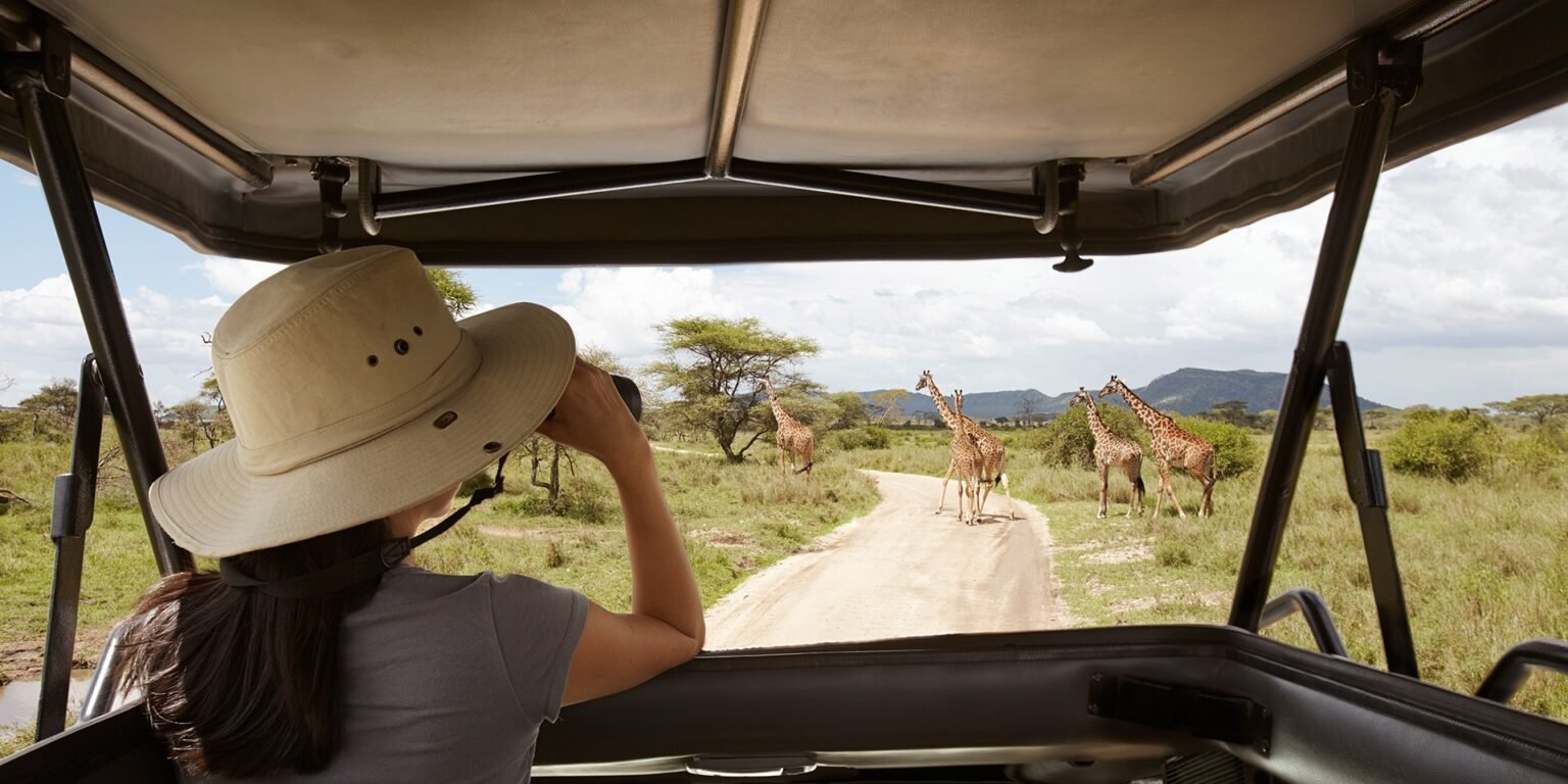7 Days Comfortable Tanzania Safari