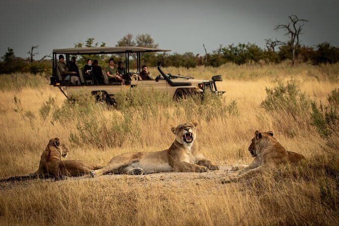 Mikumi Safari Adventure 3 days / 2 nights by ferry