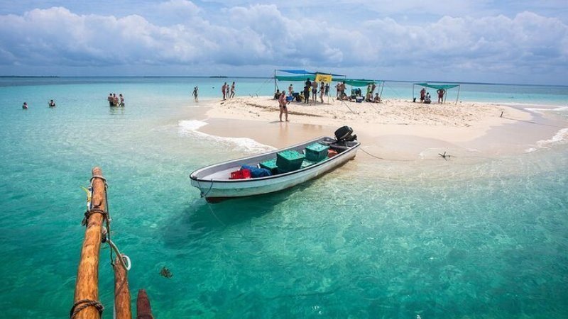 Blue Safari & Snorkeling with Lagoon Full-Day Tour
